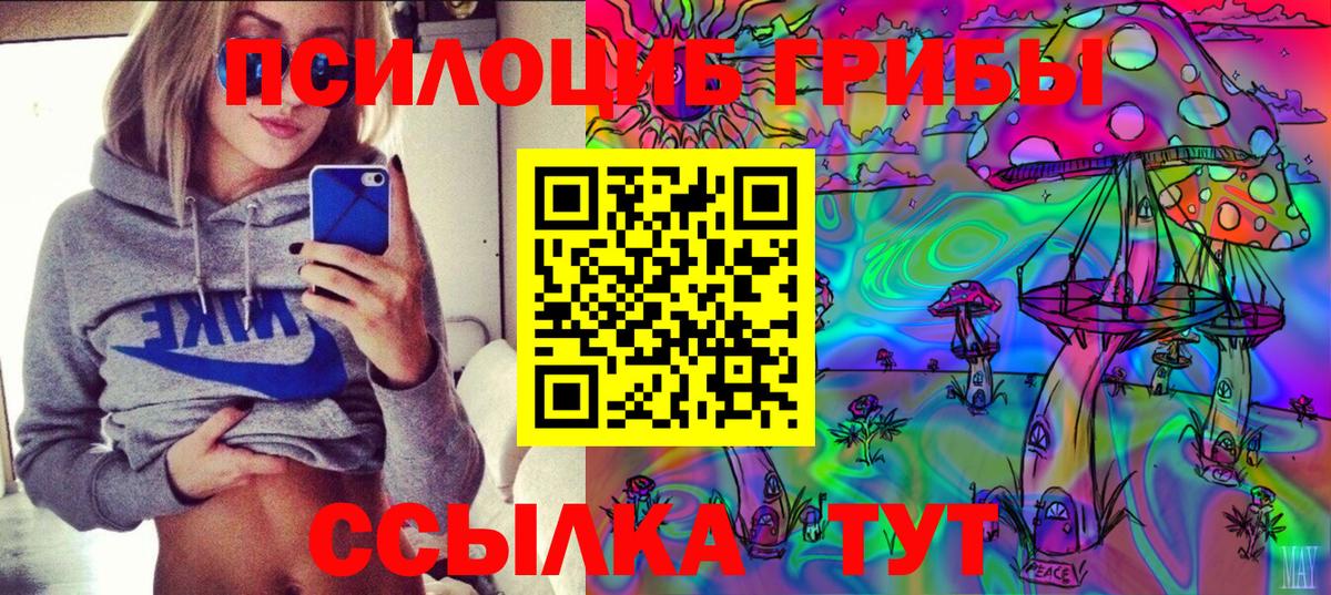 Нерюнгри  Галлюциногенные грибы мицелий  Вход с VPN 